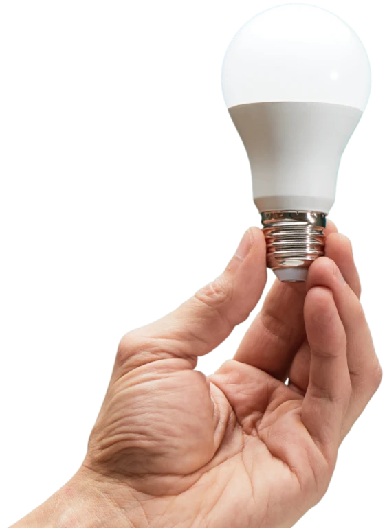 contact form section decoration