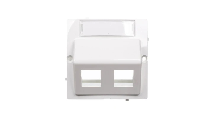 Simon Basic Pokrywa gniazda teleinformatycznego podwójnego RJ skośna z polem opisowym biała BMGKS2P/11