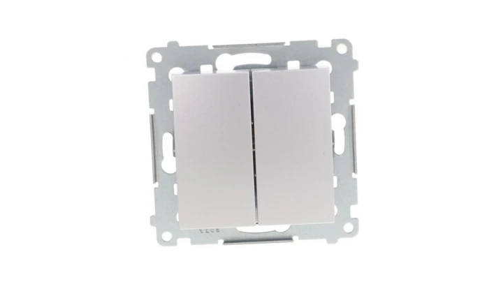 Simon 54 Przycisk podwójny, szybkozłącza, srebrny mat DP2.01/43