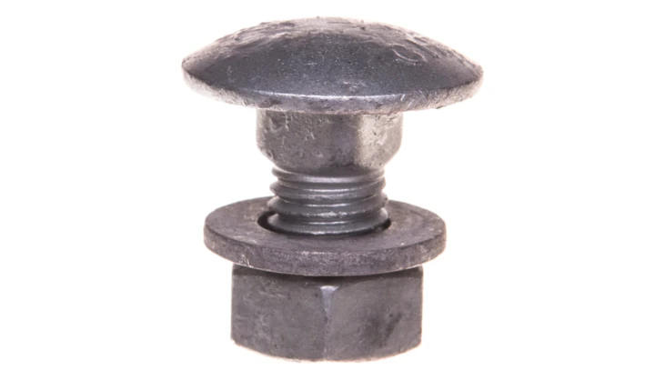 Śruba grzybkowa z podkadką i nakrętką FRS 12X25 F 6406254 /50szt./