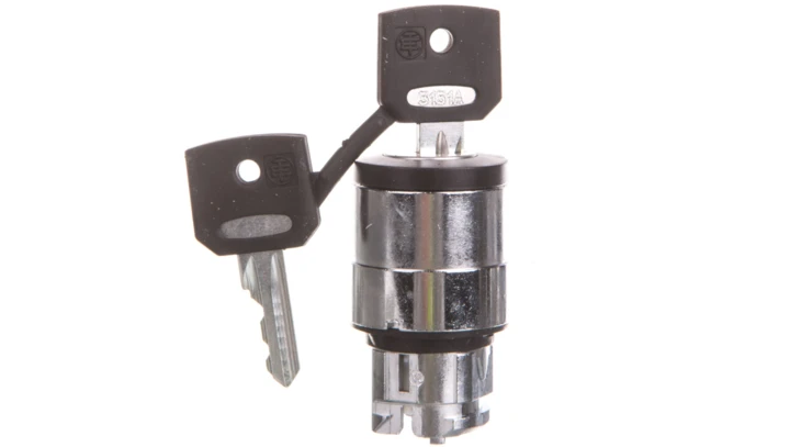 Główka przełącznika piórk., O 22, 2 poz., stabilny, Ronis 3131A ZB4BG220