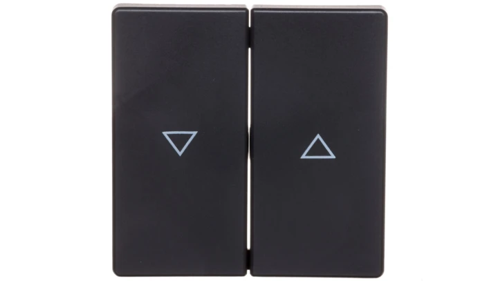 Berker Q.1/Q.3 Klawisze z nadrukiem symbolu /strzałka/ antracyt/ aksamit 16256086