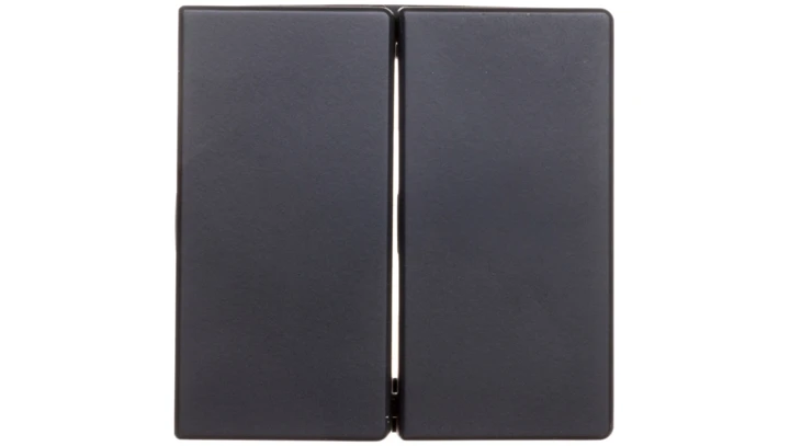 Berker Q.1/Q.3 Klawisze antracyt/ aksamit 16236086