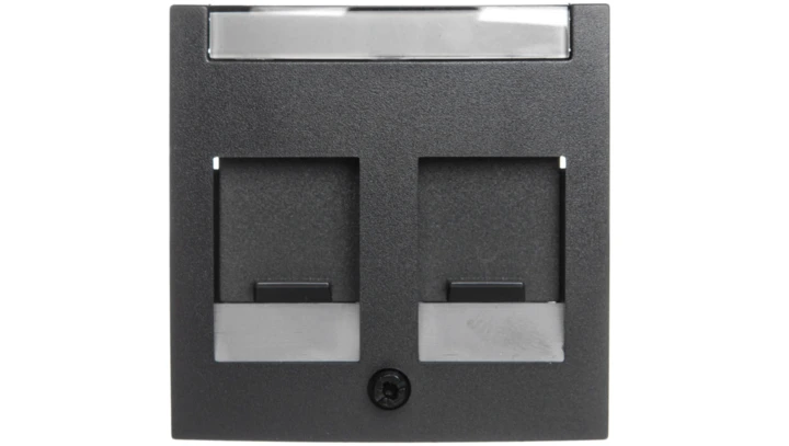 Berker B.1/B.3/B.7 Glas Element centralny podwójny z zasuwami chroniącymi przed kurzem z polem opisowym antracyt 11811606