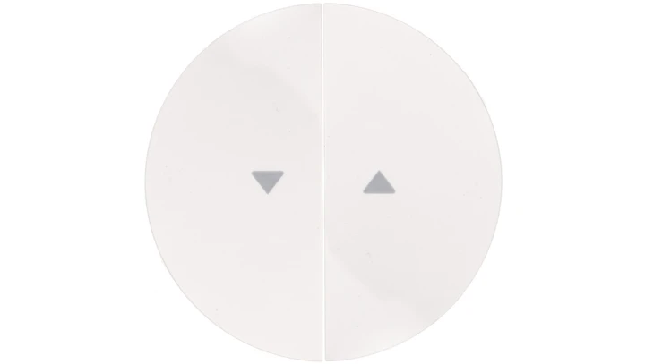 Berker R.1/R.3 Klawisz podwójny do łącznika żaluzjowego z symbolem /strzałka/ biały 16252089