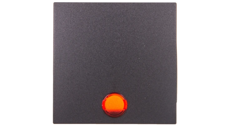 Berker B.1/B.3/B.7 Glas Klawisz pojedynczy do łącznika z 5 dołączonymi soczewkami antracyt 16211606