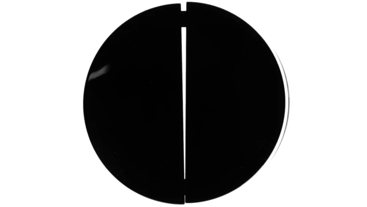 Berker R.1/R.3 Klawisz podwójny do łącznika czarny 16232045