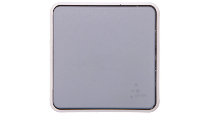 PLEXO55 Przycisk przełączny szary 069541