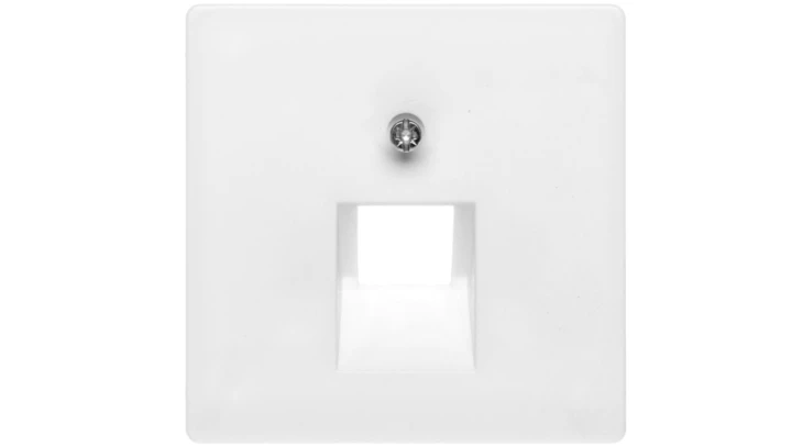 Berker Q.1 Plakietka do gniazda teleinformatycznego pojedynczego śnieżnobiała aksamit 14076089