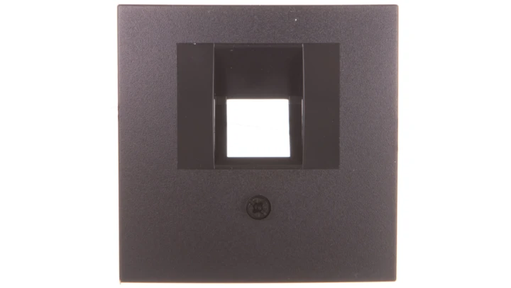 Berker/B.1/B.3/B.7 Glas Płytka czołowa pojedyncza do gniazda przyłączeniowego UAE antracyt 14071606
