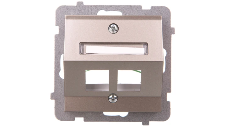 AS Obudowa gniazda komputerowego podwójnego skośna satyna light GPK-2GS/p/45