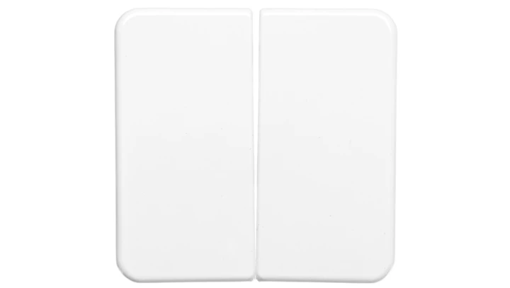 Berker IP44 Klawisz podwójny p/t bryzgoszczelne IP44 biały 53155299