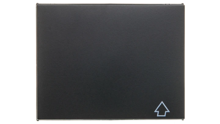 K.1 Płytka czołowa gniazda z/u i pokrywą antracyt mat lakierowany 3965777106