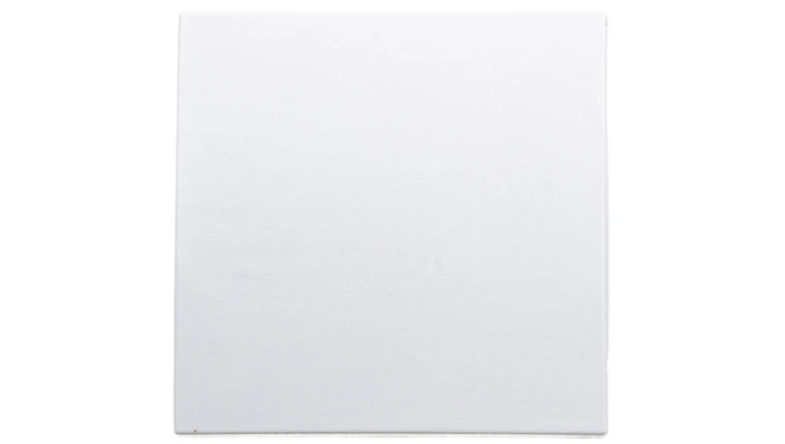 Klawisz 1-biegunowy przycisk 1x biały tworzywo 16201909