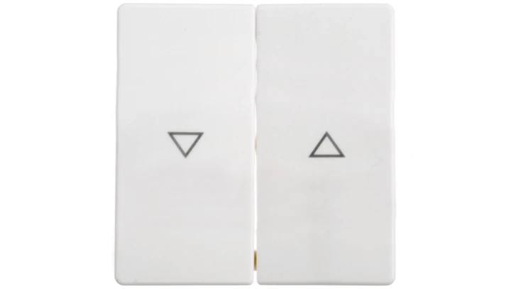 Berker/Q.1 Klawisz 2-krotny z nadrukiem symbolu strzałka biały aksamit 16256089