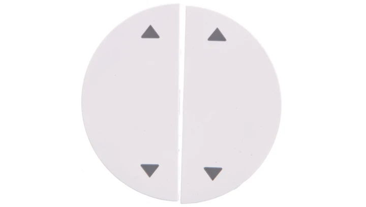 Berker R.1/R.3 Klawisze z nadrukiem symbolu strzałki biały połysk 16442089