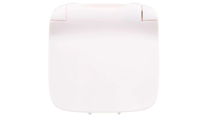 VALENA ALLURE Plakietka gniazda pojedynczego 2p+z z klapką biały 754865