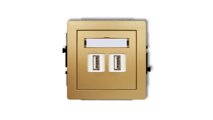 DECO Gniazdo podwójne 2xUSB-AA 2.0 złoty 29DGUSB-2