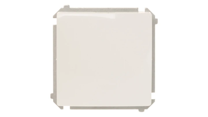 Simon Basic Łącznik jednobiegunowy, szybkozłącza, biały BMW1.01/11