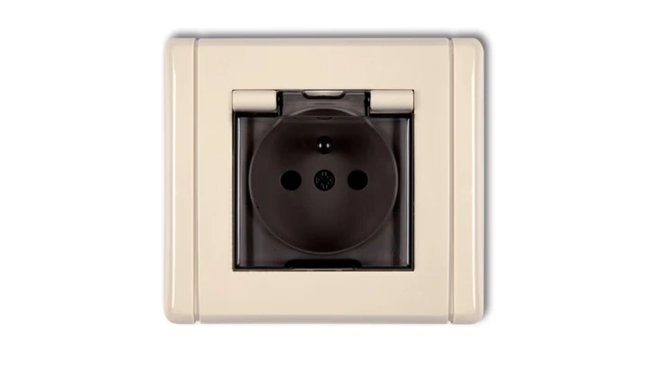 FLEXI Gniazdo bryzgoszczelne z/u (klapka dymna) beżowy 1FGPB-1zdp