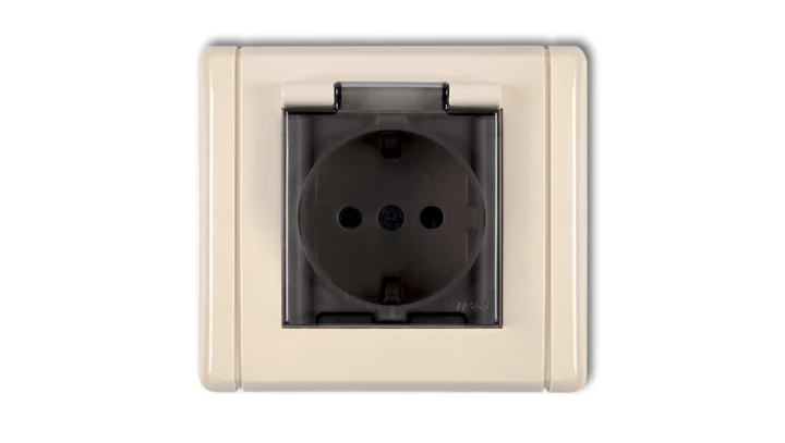 FLEXI Gniazdo bryzgoszczelne z/u SCHUKO (klapka dymna) beżowy 1FGPB-1sdp