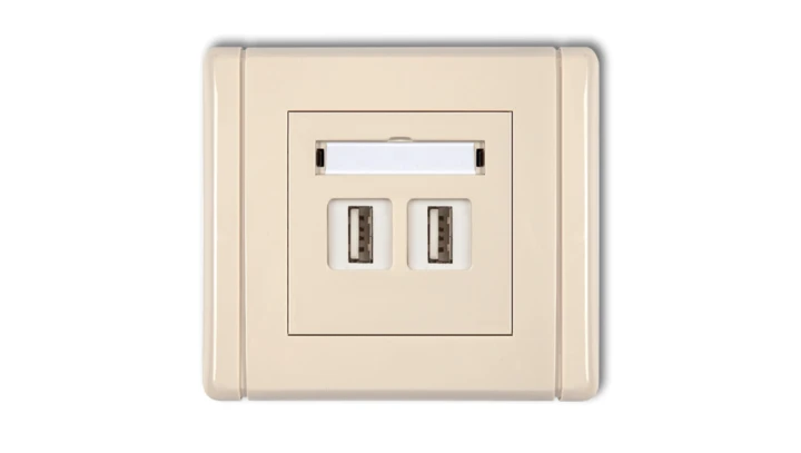 FLEXI Gniazdo podwójne 2xUSB-AA beżowy 1FGUSB-2