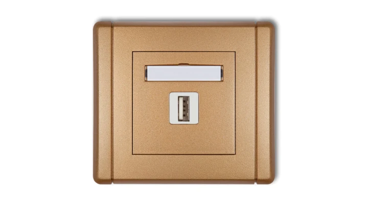 FLEXI Gniazdo pojedyncze USB-AA złoty metalik 8FGUSB-1