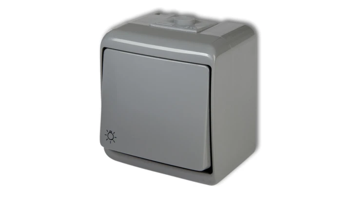 JUNIOR Przycisk /światło/ podświetlany popielaty 10WHE-5L