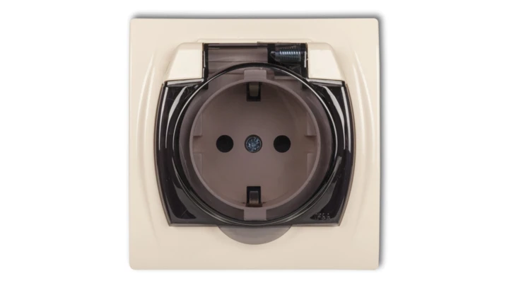 LOGO Gniazdo bryzgoszczelne z/u SCHUKO (klapka dymna) beżowy 1LGPB-1sdp