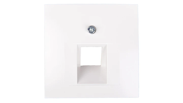 Berker/B.Kwadrat Element centralny gniazda przyłączeniowego 1xUAE śnieżnobiały 5314078989