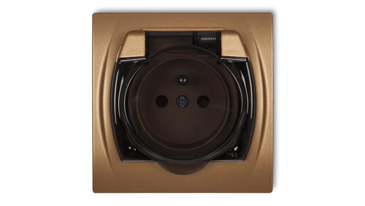 LOGO Gniazdo bryzgoszczelne z/u (klapka dymna) złoty metalik 8LGPB-1zdp