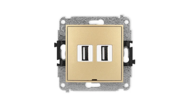 ICON Mechanizm gniazda podwójnego 2xUSB A-A 2.0, bez pola opisowego złoty 29IGUSBBO-2