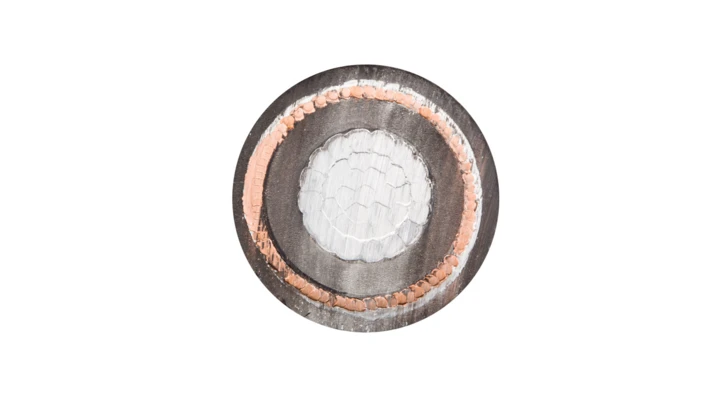 Kabel energetyczny XRUHAKXS 1x120/50 12/20kV /bębnowy/