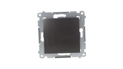 Simon 54 Przycisk pojedynczy, szybkozłącza, antracyt DP1.01/48