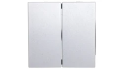 Berker B.1/B.3/B.7 Glas Klawisz podwójny srebrny 16231404