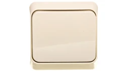 Prima Łącznik 1-biegunowy beżowy IP20 WNt-100P WDE001110