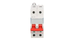 Rozłącznik modułowy 63A 2P 16kA FRX302 406528