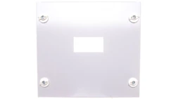 Płyta montażowa 300x400mm stal pion BPZ-NZM1-400-MV-RH 116679