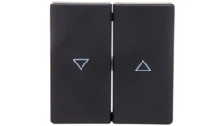 Berker Q.1/Q.3 Klawisze z nadrukiem symbolu /strzałka/ antracyt/ aksamit 16256086