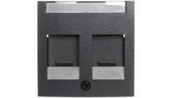 Berker B.1/B.3/B.7 Glas Element centralny podwójny z zasuwami chroniącymi przed kurzem z polem opisowym antracyt 11811606