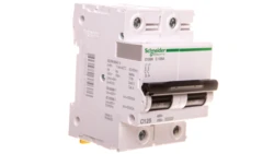 Wyłącznik nadprądowy C120N-C125-2 A9N18363