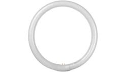 Świetlówka kołowa LUMILUX T9 C 32W/865 G10q 84V 4008321581167