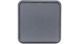 Berker W.1 Gniazdo pojedyncze z/u moduł IP55 szary 6768803515