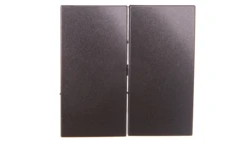 Simon 54 Klawisz podwójny łącznika schodowego do SW6/2M antracyt DKW6/2/48