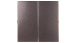 Simon 54 Klawisz podwójny do SW7/2XM i SW6P1M antracyt DKW9/48