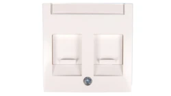 Berker/B.Kwadrat Element centralny podwójny śnieżnobiały 11818989