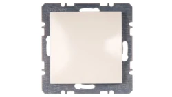 Berker/B.Kwadrat Zaślepka z elementem centralnym kremowa 10098982