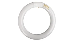 Świetlówka kołowa G10q 22W 840 4000K MASTER TL-E Super 80 872790084050600