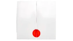 B.Kwadrat Klawisz podwójny z czerwoną soczewką białe 5316278999