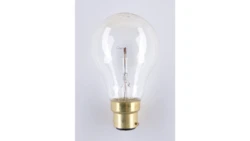 Żarówka B22 A60 40W 24V niskonapięciowa NIS-0533 B22